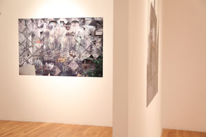 view of the show1
